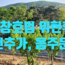 신재호 행정사 사무소 이미지