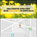 아미스킨 이미지