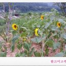 연화마을기업 이미지