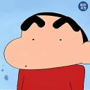 삼성비니루 | 하노이에서 나 홀로 이사하다! 🐾