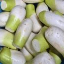 무조청 가마솥전통수제조청 생강돌배조청 내돈내산 후기