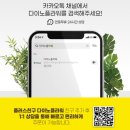 꽃담은 수제화분 | 인천 동양란 승진선물로 품격까지 담은 공룡꽃식물원 축하화분 후기