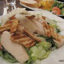 더 엘레펀트 이미지