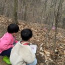 솜솜이네 이미지