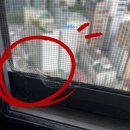 사당자이아파트 상가 | 사당 방충망 교체 : 롤방충망 교체 시공 후기, 이수역 자이아파트