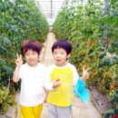 태훈농장 이미지