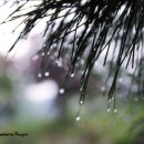 별하나나하나펜션 이미지