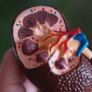 연세자연내과의원 이미지