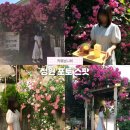 공주 카페보니비 l 장미 정원 포토 스팟 구도, 코디
