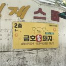 금호복돼지 이미지