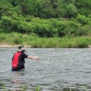 홍천 강가애 이미지