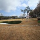 마스타골프 이미지