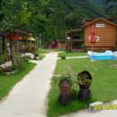 오대산늘벗 이미지