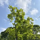 혼저옵서예 이미지