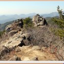 팔공산힐링 이미지