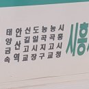 삼화왕관 안산공장 티스토리