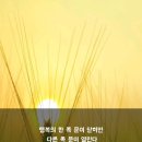 [오늘의 뉴스] 7월 29일 이미지