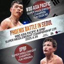 수원동양복싱 이미지