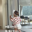 에어솔루션 이화학 연구소 | 페넬로페 2026 퀵퀵퀵 드라이 썸머 후기 시원한 여름기저귀 팬티기저귀 추천