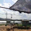 홍우농장 이미지