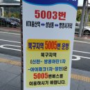 신천(25305) 네이버블로그