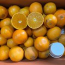 보내농장 이미지