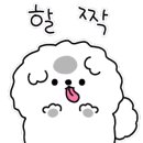 독스아일랜드 이미지