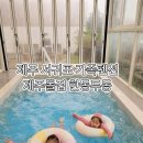 제주돌집 한동두동 이미지