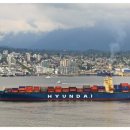 11530-15-17 이미지