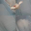 젬 메딕스 | [피타파타]천연성분으로 만든 버블&amp;커틀버블 바스로 즐거운 거품 목욕해요.^^