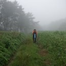 송호보건진료소 이미지