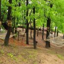 한솔뜰근린공원 이미지