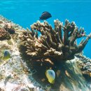 산호메디컬 이미지