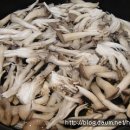 엄마반찬도시락 이미지