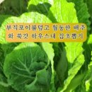 성수문량길 이미지