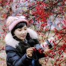 푸른상회 이미지