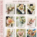 바비슈아 이미지
