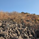 바위목장 이미지