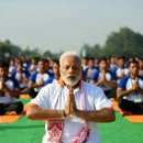 모디 (modi) 이미지