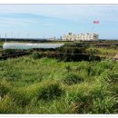 제주사랑공인중개사사무소 이미지