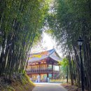 메타길5(어린이프로방스) 이미지