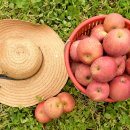 김남석농장 이미지