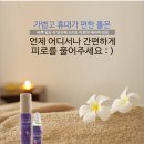 라벤더(LAVENDA)