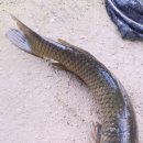 팔미리낚시터 이미지