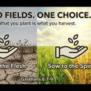 David Raju - Our Choices Make Us | Austin CFC | 2026-03-15 이미지