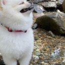 하남대로302번길 이미지