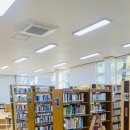 청림동 푸른숲 이미지