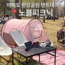 노블 | 여의도 벚꽃축제 한강공원 피크닉 텐트 대여 노블피크닉 후기