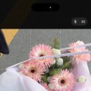코브파리