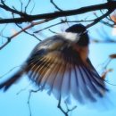 화성아름마을 이미지